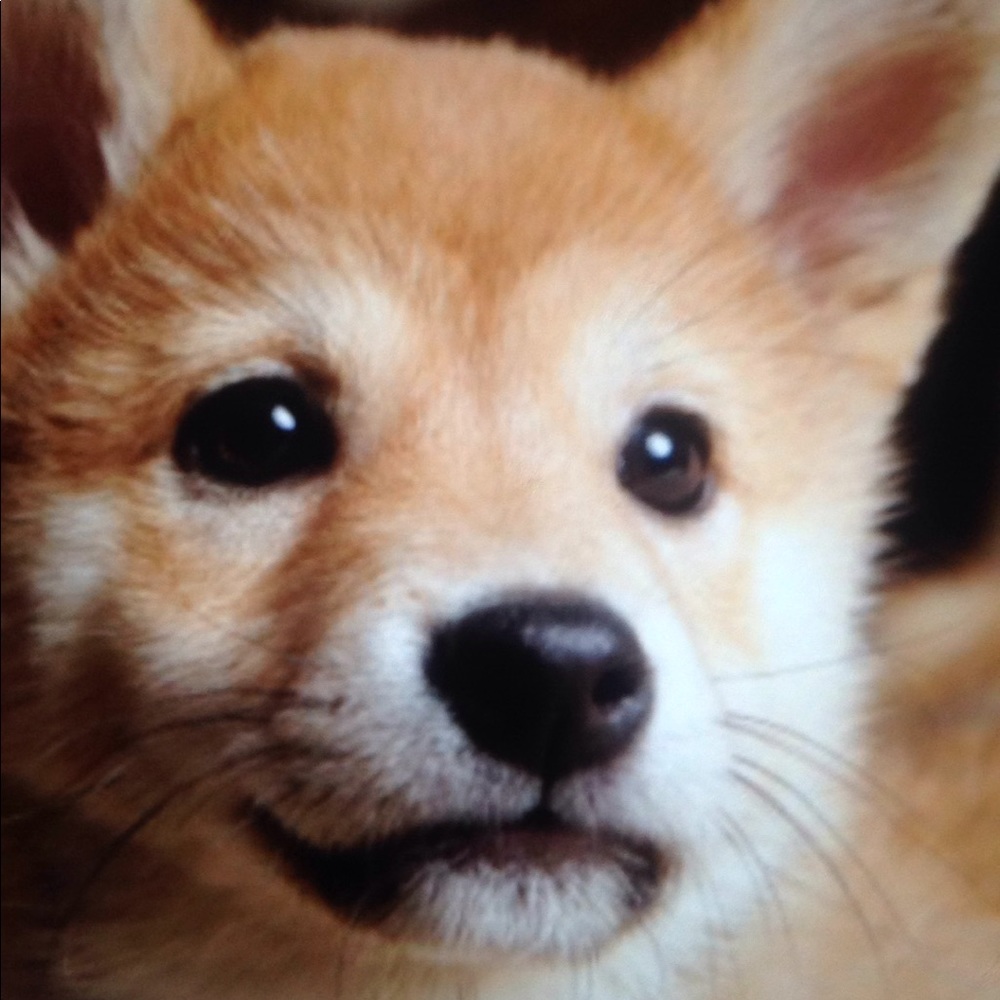 Meet your Posher, Nicole